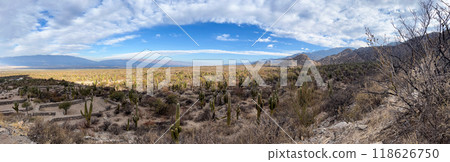 Panoramic picture of the Quilmes Indian Ruinss in Calchaqui Valley Panoramic picture of the Quilmes Indian Ruinss in Calchaqui Valley 118626750