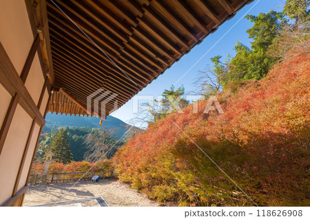 能山觀音寺的紅葉（福岡縣篠栗町） 118626908