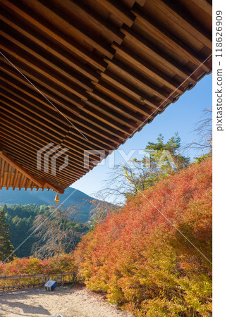 能山觀音寺的紅葉（福岡縣篠栗町） 118626909