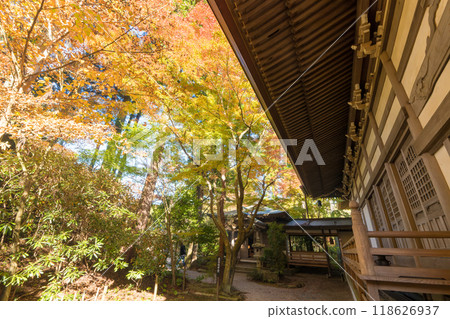能山觀音寺的紅葉（福岡縣篠栗町） 118626937
