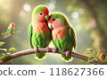 愛情鳥依偎 118627366