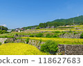 Dandan rice fields in Fukano before the rice harvest (Matsusaka City, Mie Prefecture) 118627683