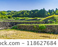 Dandan rice fields in Fukano (Matsusaka City, Mie Prefecture) 118627684