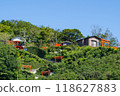 The approach to Arakuma Shrine with its red torii gates, Minamichita Town, Aichi Prefecture 118627883