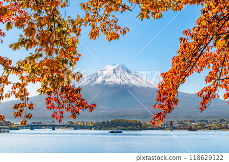 Fuji and the autumnal leaves on the lake side of the estuary Fuji and the autumnal leaves on the lake side of the estuary 118629122