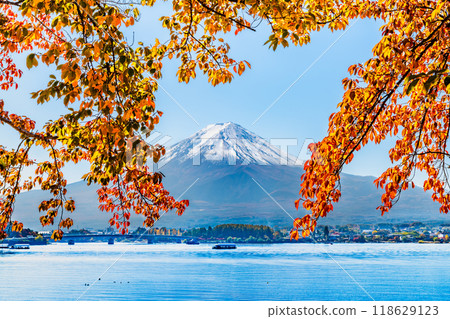 Fuji and the autumnal leaves on the lake side of the estuary Fuji and the autumnal leaves on the lake side of the estuary 118629123