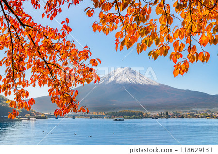 Fuji and the autumnal leaves on the lake side of the estuary Fuji and the autumnal leaves on the lake side of the estuary 118629131