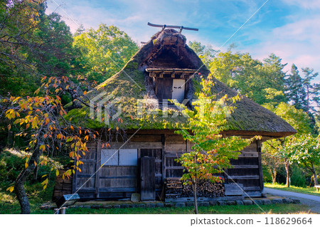 Autumn leaves and the former Hozumi House 118629664