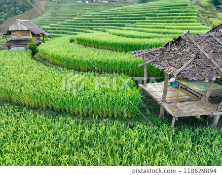 Landscape of green rice terraces and traditional huts in a village near Chiangmai, Thailand. Travel destinations. Beauty of terraced rice fields. Rural life and traditional farming practices in Asia. Landscape of green rice terraces and traditional huts in a village near Chiangmai, Thailand. Travel destinations. Beauty of terraced rice fields. Rural life and traditional farming practices in Asia. 118629894