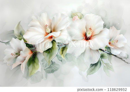 Beautiful mugweed flowers 118629932