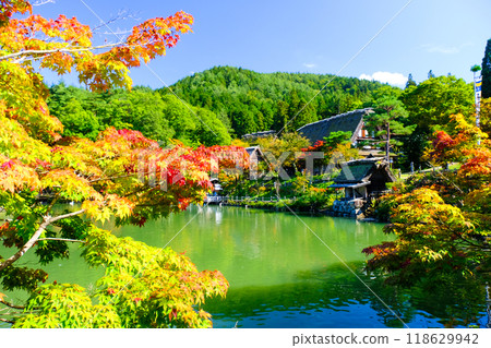 Goami Pond in Autumn 118629942