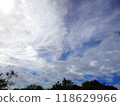 blue sky with cloud and trees 118629966