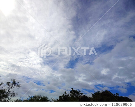 blue sky with cloud and trees 118629966