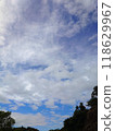 blue sky with cloud and trees, vertical photo 118629967