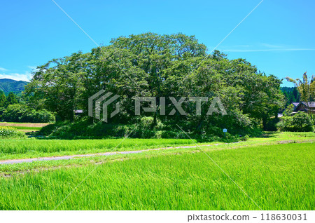 鍋山水四郎古墳 中之戶町 118630031