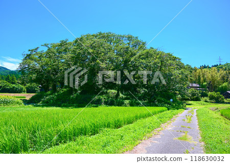 鍋山水四郎古墳 中之戶町 118630032