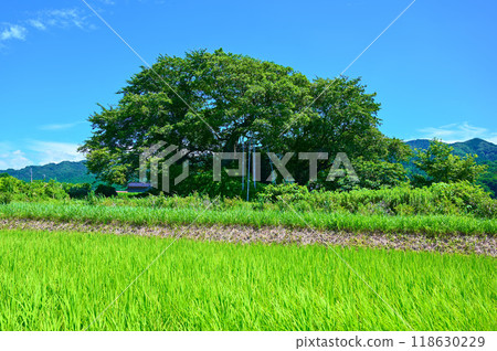 小竹加拉博山古墳 中之戶町 118630229