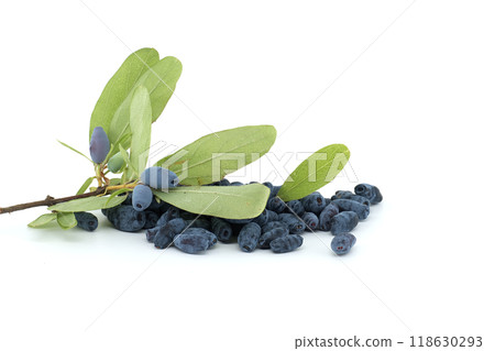 Blue Honeysuckle berries isolated on white background 118630293