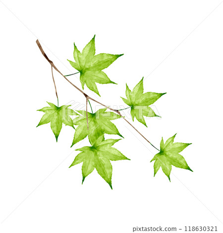 Autumn leaves, green, autumn, illustration, watercolor 118630321