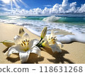 Lilies and the sun on the shore 118631268
