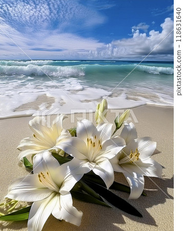 Pure white lilies on the shore 118631640