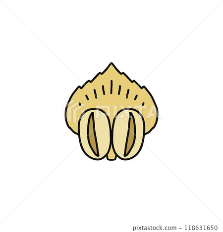 Structure of pine flowers: Male flowers, scales, gymnosperms Structure of pine flowers: Male flowers, scales, gymnosperms 118631650