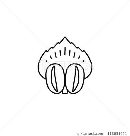 Structure of pine flowers: Male flowers, scales, gymnosperms Structure of pine flowers: Male flowers, scales, gymnosperms 118631651