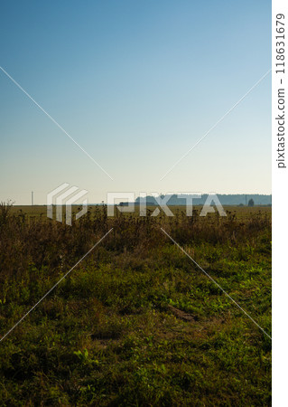 The field in the early morning. A harvested wheat field in the distance The field in the early morning. A harvested wheat field in the distance 118631679