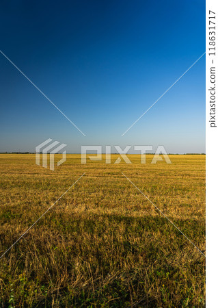 A clear field in the evening in the village. The field after harvest. Clear sky A clear field in the evening in the village. The field after harvest. Clear sky 118631717