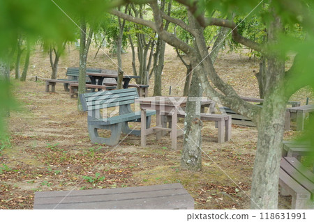 Table and chairs in the forest 118631991