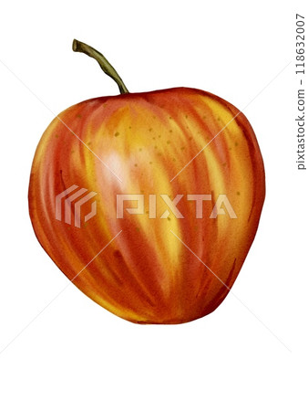 Red apple. A fruit with a small branch of red and yellow color. Watercolor illustration. Red apple. A fruit with a small branch of red and yellow color. Watercolor illustration. 118632007