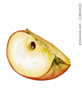 Half an apple. The pulp is visible. The apple is red. Watercolor illustration. 118632016