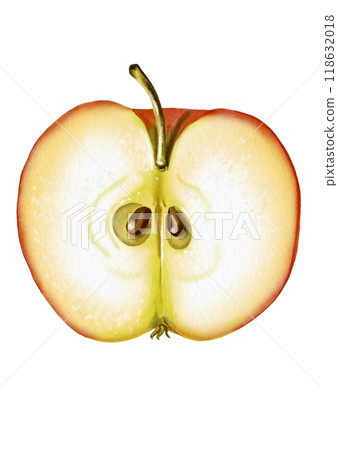 Half an apple. seeds Ripe and juicy fruit. The pulp is visible. The apple is red. Watercolor illustration. 118632018