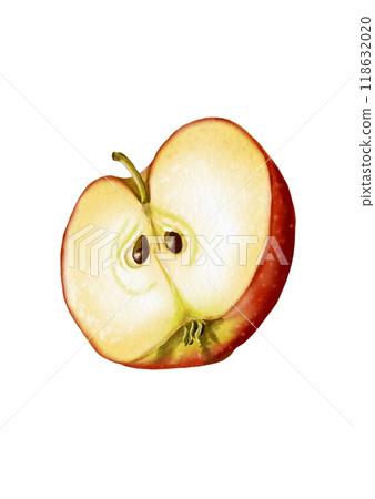 Half an apple. seeds Ripe and juicy fruit. The pulp is visible. The apple is red. Watercolor illustration. 118632020