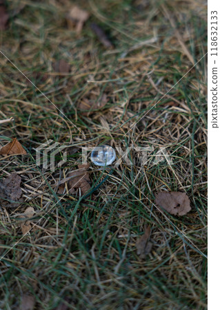 A transparent little button got lost in the grass A transparent little button got lost in the grass 118632133