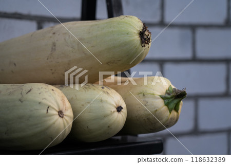 The white and yellow zucchini are on the shelf. Evening in the village The white and yellow zucchini are on the shelf. Evening in the village 118632389
