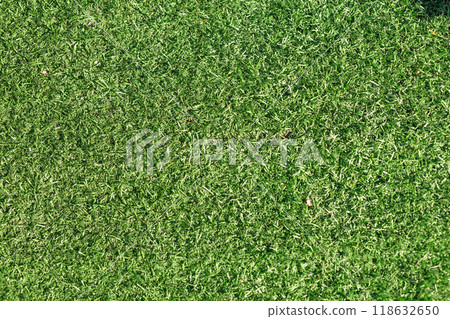 Green grass nature spring texture. Green grass nature spring texture. 118632650