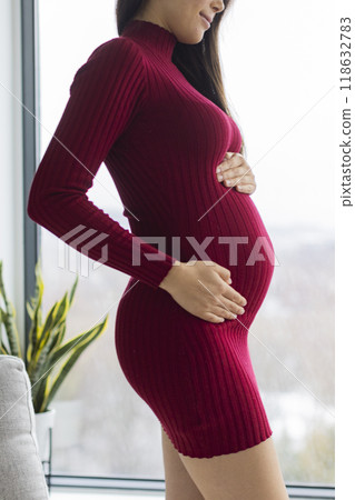 Pregnancy. Pregnant woman profile holding her belly in red dress. Beautiful model for pregnancy maternity clothes. Pregnancy. Pregnant woman profile holding her belly in red dress. Beautiful model for pregnancy maternity clothes. 118632783
