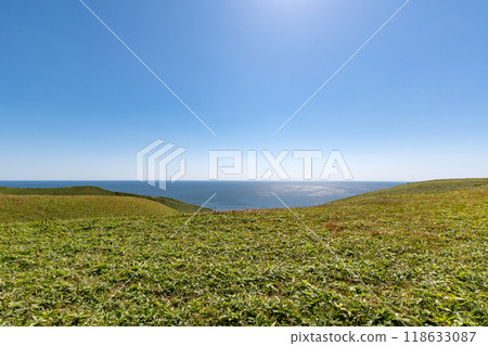 北海道白輪岬 118633087