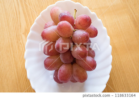 胭脂皇后 胭脂皇后 118633164