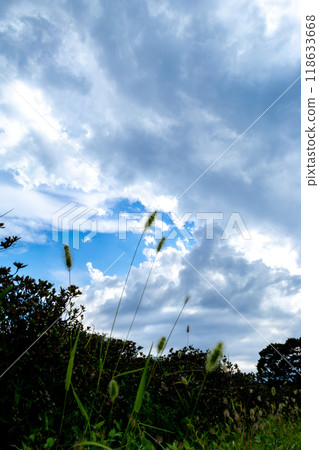 藍天和白色雲彩 118633668
