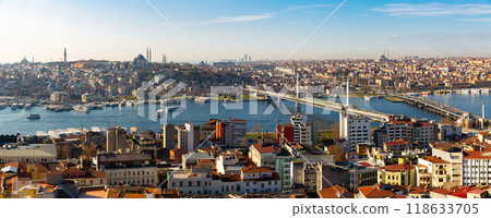 Aerial view of Istanbul 118633705