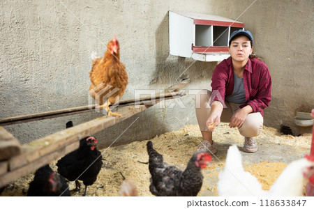 Young female farm worker hand-feeding hens 118633847