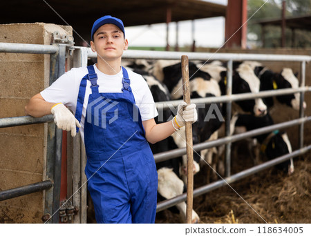 Young boy farmer posing while feeding cows at farm 118634005