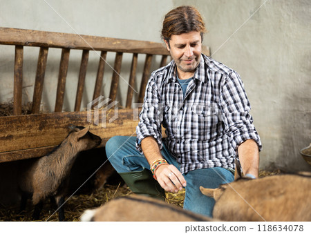 male farmer taking care of baby goats 118634078