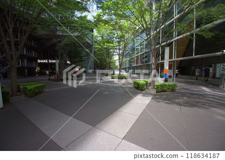 辦公區域的風景與綠色的 辦公區域的風景與綠色的 118634187