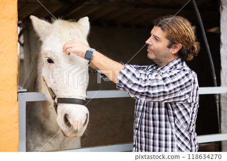 Man brushing on walk horses Man brushing on walk horses 118634270