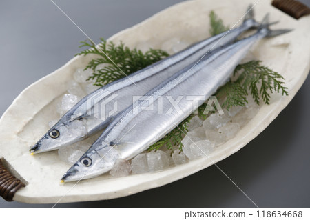 Fresh saury 118634668