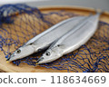 Fresh saury 118634669