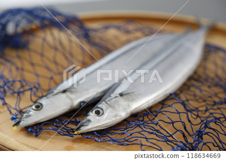 Fresh saury Fresh saury 118634669